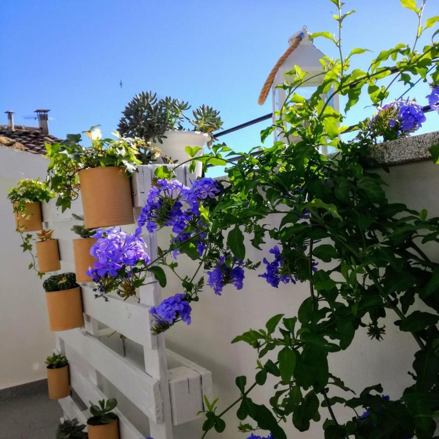 B&B Porta Girone Civitanova Alta Eksteriør billede