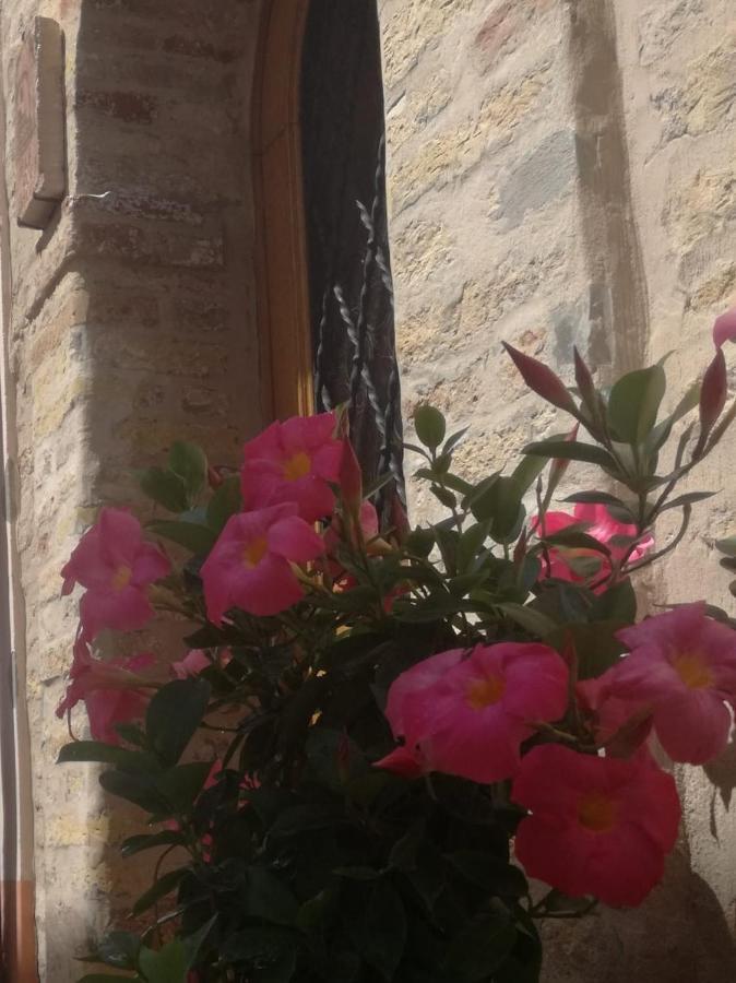 B&B Porta Girone Civitanova Alta Eksteriør billede